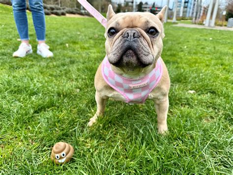 Residents are complaining about eaves redmond campus parking rules 10