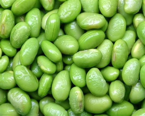 green lima beans njah agric enterprise