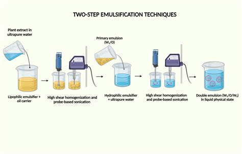 Two Step Emulsification Technique For Forming Double Emulsion Drug