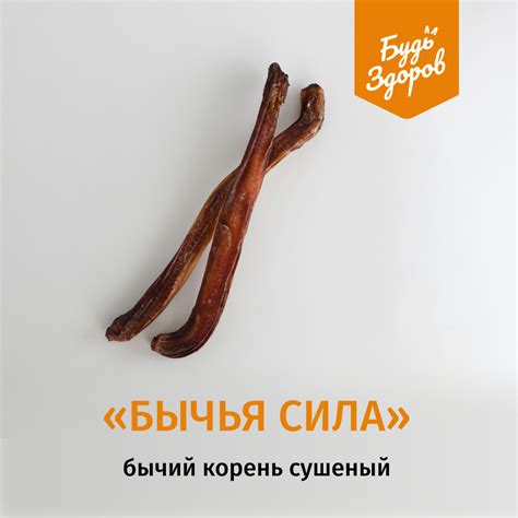 Корм для животных «Живая Сила» — Интернет-магазин зоотоваров «Живая ...