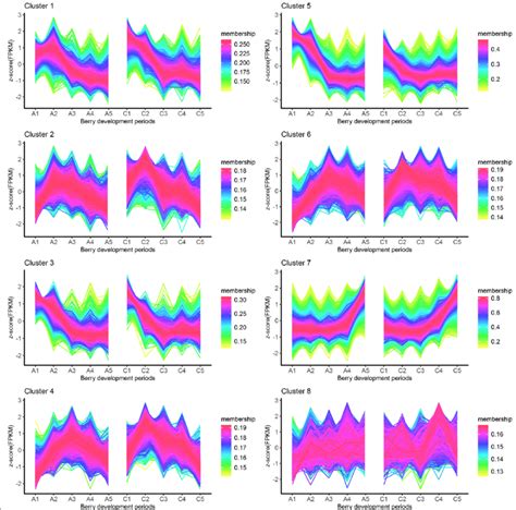 Cluster Analysis Of The Gene Expression Patterns In The Berry Of The