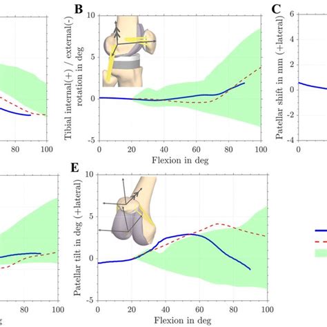 Tibio And Patellofemoral Kinematics During Dynamic Squat Motion In