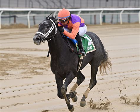 Aqueduct Picks: The Definitive Guide For 2024 Image 14