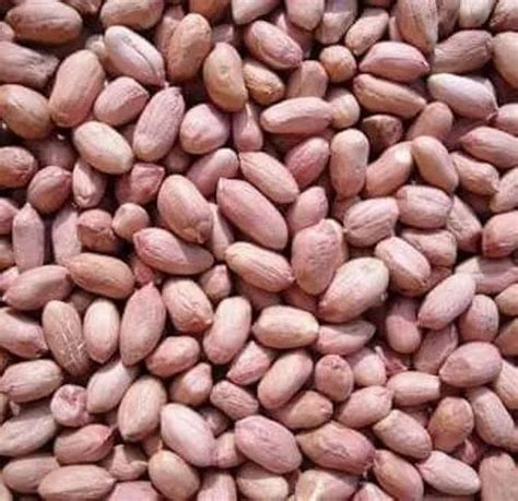 Kg Groundnut Kernels Packaging Sacks At Rs Kilogram In Alangudi