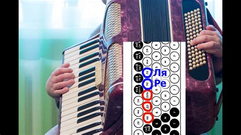 Ре мажор. Ля мажор на аккордеоне. Изучение основных басов на левой ...