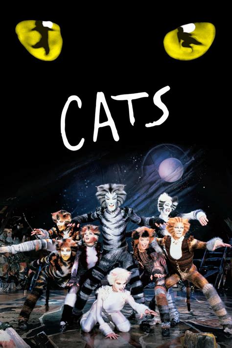 do cats watch tv 10