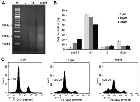 Dna Fragmentation And Cell Cycle Distribution Of T47d Cells Treated