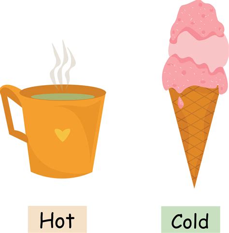 Learning The Opposite Adjectives Cold And Hot Cold Delicious Ice Cream And Hot Tea A Mug Of