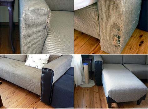 Обшить диван антивандальной тканью (78 фото) - красивые картинки и HD фото