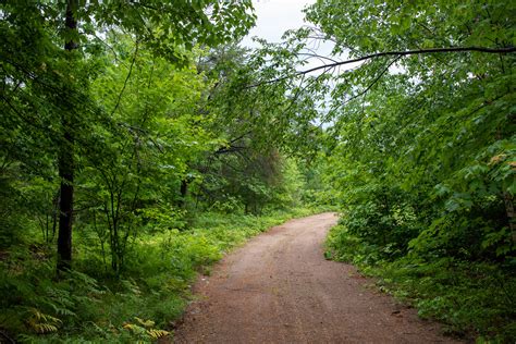 Tamron 35-150mm F2.8-4 VC OSD Gallery - DustinAbbott.net