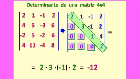 Construction d'arbres phylogénétiques avec de grandes matrices en R: défis et solutions