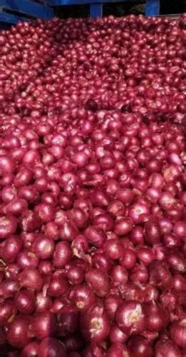 Shallots Onion A Grade Fresh Red Indian Onions Gunny Bag Onion Size