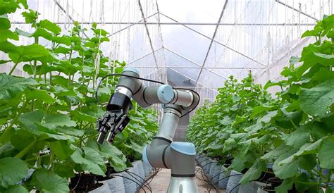 Agritech: What is it? Funding options and more - TargetTrend