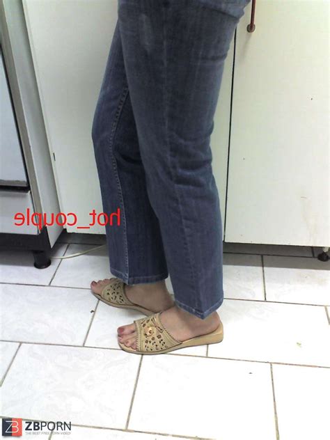 Persian Stellar Soles ZB Porn