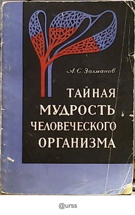 Капиллярная Вселенная доктора Залманова