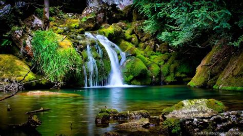 Most Famous Wallpapers - Top Free Most Famous Backgrounds - WallpaperAccess