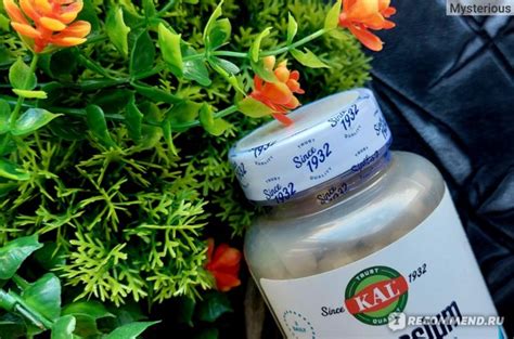 Витамины KAL Магнезиум Малат Magnesium Malate 400 - «Витамины KAL ...