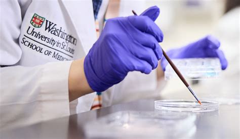 Washu Medicine Rises To No 2 In Nation In Nih Research Funding John