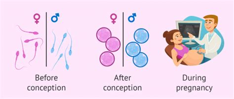 Gender Selection Can You Actually Choose Your Baby S Sex