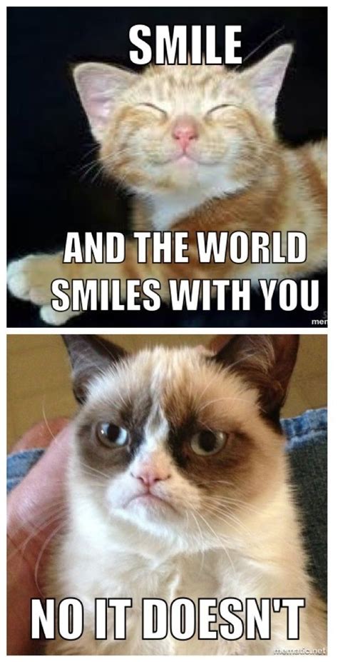 Smile Grumpy Cat Memes Divertidos Meme Gato