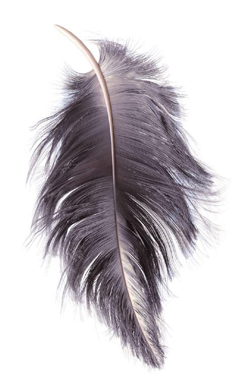 BODACIOUS BABE Goddess By Choice