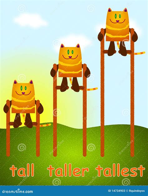 Stock Photos Tall Taller Tallest Image 14734903