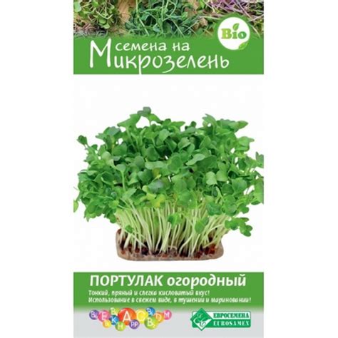 Микрозелень ПОРТУЛАК ОГОРОДНЫЙ (1 гр)