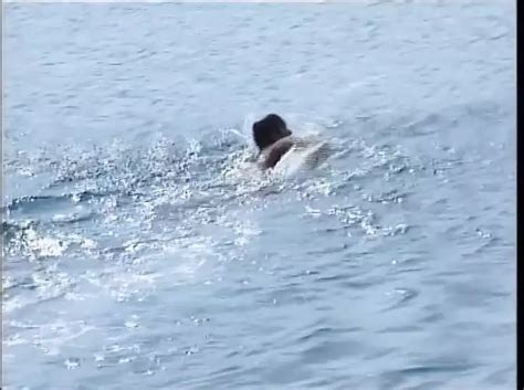 Ein Sommer Im Zeichen Von Pussy Episode 5 Free Porn 72 XHamster