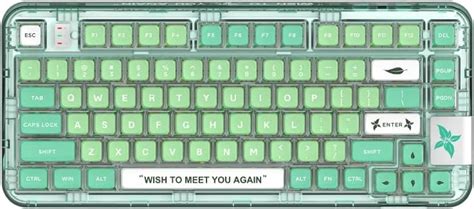 Amazon EPOMAKER CK Transparent Gasket Hot Swap RGB Bluetooth Ghz Wireless Type C