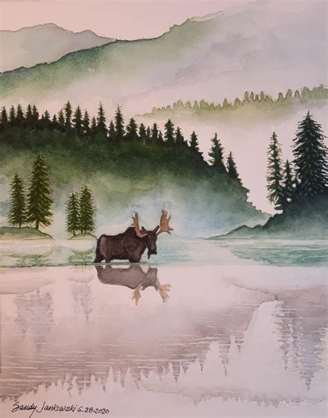 Majestic Moose in the Water