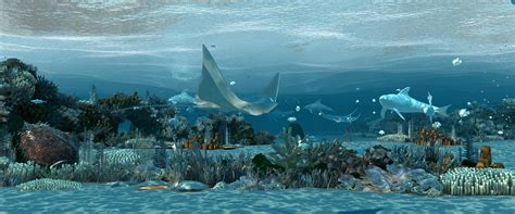 Ocean Floor Coral Reefs Shoal Of Fish D Model Animated Cgtrader