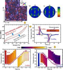 Superelasticity And Elastocaloric Effect In A Textured Ti Nb Zr Ta