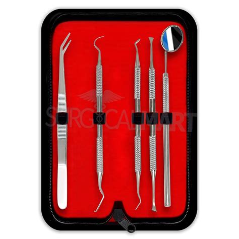 5 Pcs Professional Dental Oral Hygiene Kit | Surgical Mart