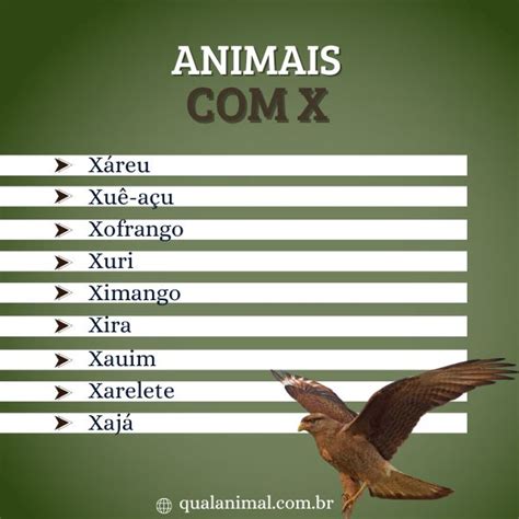 Animais Que Comecem Com A Letra X - Animais com N: Lista Completa e Curiosidades!