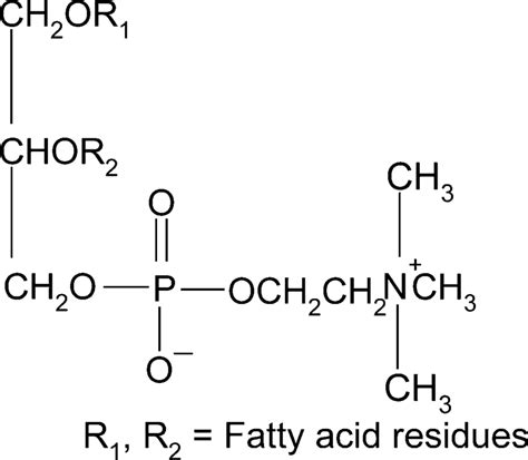 Chemical structure of lecithin. | Download Scientific Diagram