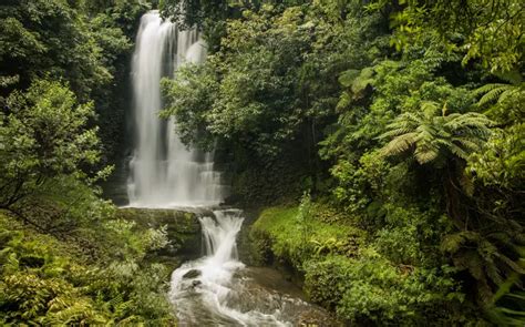 Discover the Breathtaking Waikato Waterfalls - WaikatoNZ