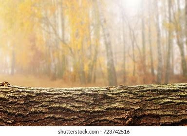 Wooden Log Background Product Display Montages Stock Photo 723742516 ...