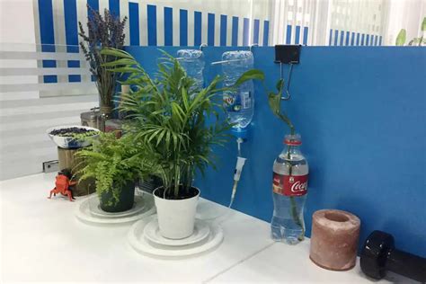 9 DIY Automatic Watering System for Indoor Plants: A Step-by-Step Guide