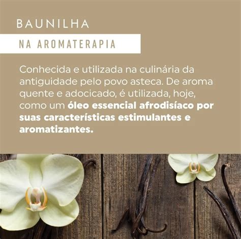 Vela Aromatizada Baunilha Chama de Ouro g Lolla Sex Shop Online Tudo para Saúde e Bem