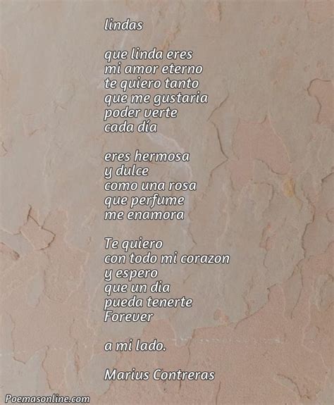 Cinco Mejores Poemas Para Enamorar A Chicas Poemas Online