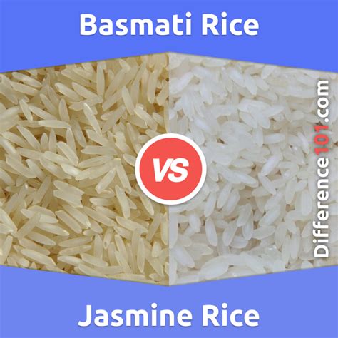 Basmati Rice Vs Jasmine Rice 7 Key Differences Pros Cons