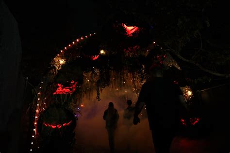 Haunted Hayride kicks off in Los Angeles with fresh scares – Daily News