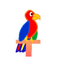 Parrot GIF - Find & Share on GIPHY