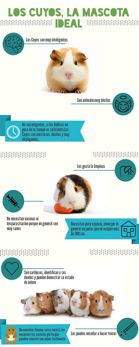 Dale un Vistazo a nuestra infografía