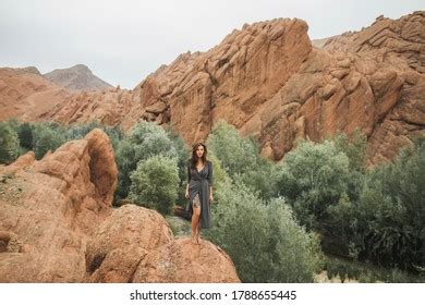 923 Naked woman desert 图片库存照片和矢量图 Shutterstock