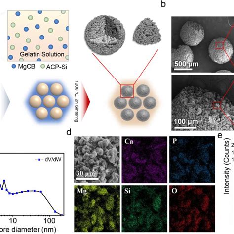 Preparation and characterization of MMSs. (a) Schematic diagram of the ...