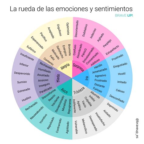 La Rueda De Las Emociones Material De La Siguiente Asignatura Tutoría