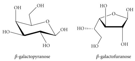 Alpha D Galactofuranose