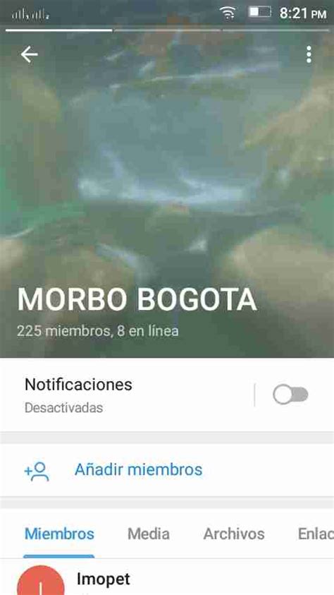 Grupos Gay De Telegram Gay Groups In Telegram Guia Gay Colombia