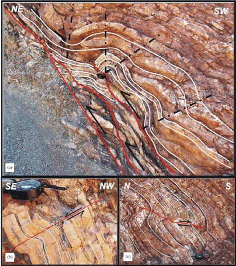 photograph   anticlinal fold   developed